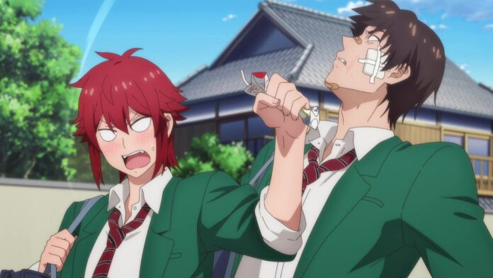 Tomo-chan Is a Girl! – Serie erscheint auf Disc
